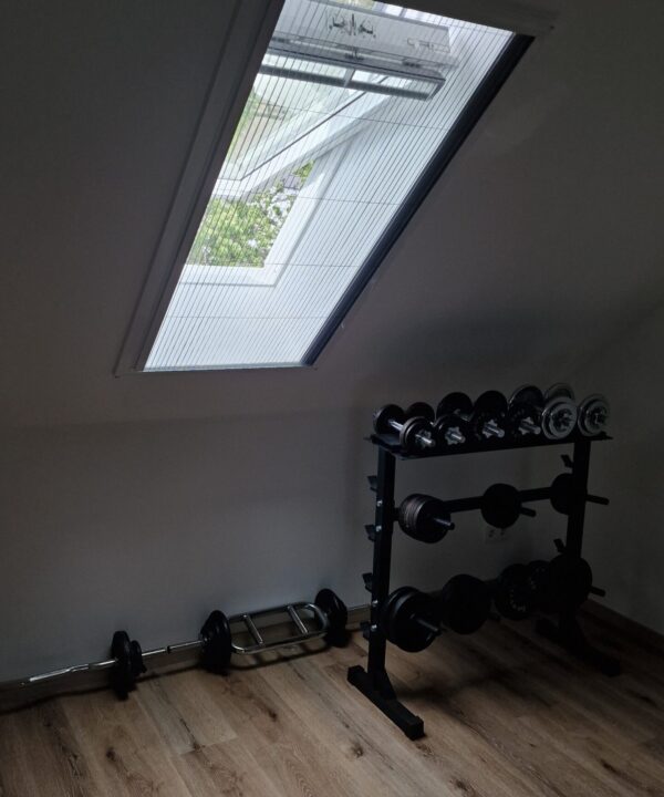 Schraub - Klebesystem Einflügeliges Fliegengitter für Dachfenster